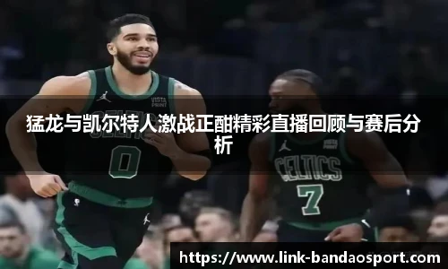 半岛体育