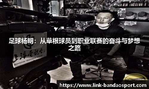 半岛体育